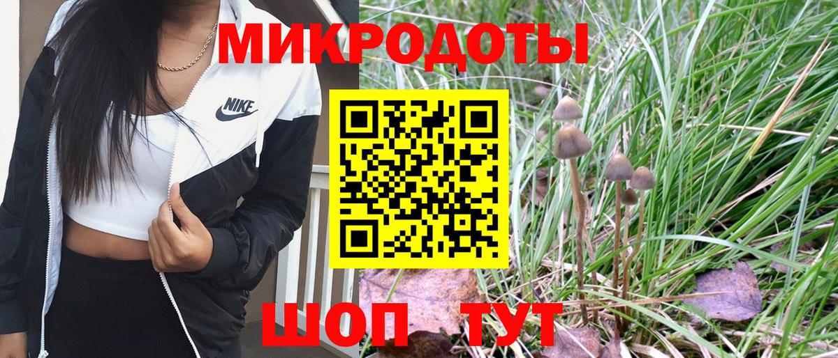 Галлюциногенные грибы GOLDEN TEACHER  Вход с VPN  Псилоцибиновые грибы Psilocybe  купить наркоту  Чапаевск 