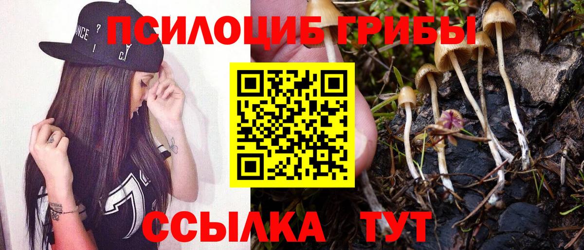 Галлюциногенные грибы MAGIC MUSHROOMS Чапаевск